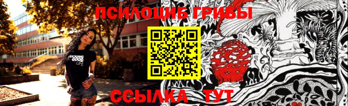 Курган  Псилоцибиновые грибы Magic Shrooms  Вход с VPN 